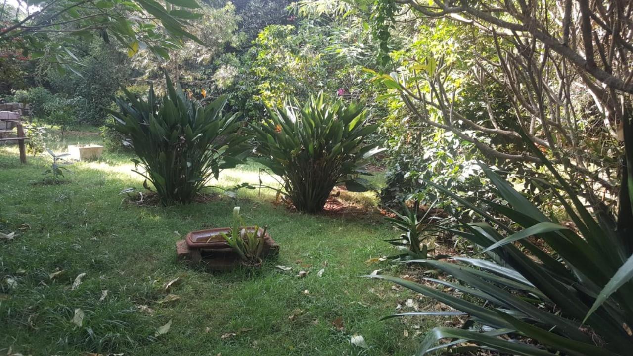 The Cottage-Place Of Grace 2Bdrm And Loft Bed All 4U At Usd58 Nairobi Luaran gambar