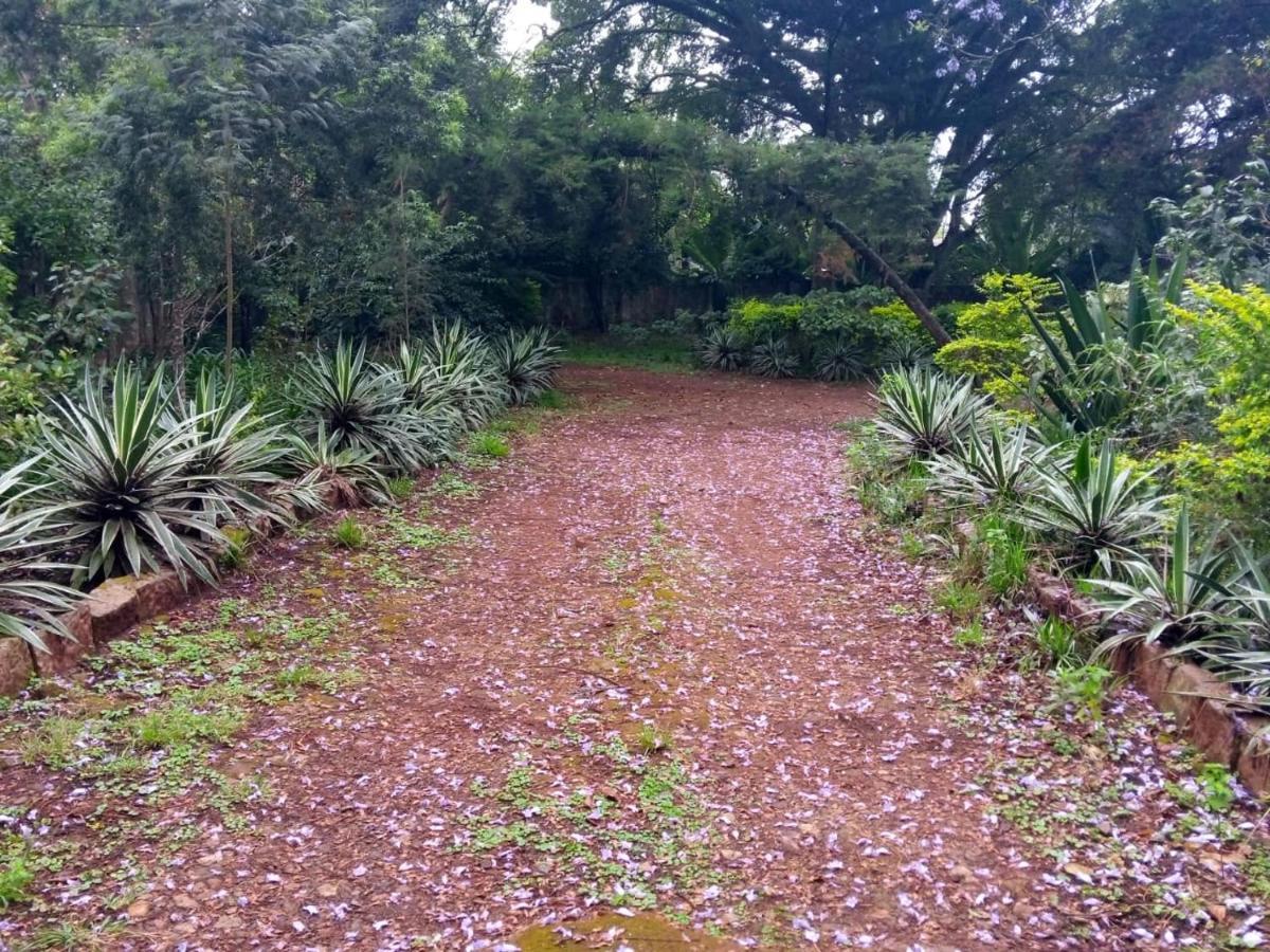 The Cottage-Place Of Grace 2Bdrm And Loft Bed All 4U At Usd58 Nairobi Luaran gambar