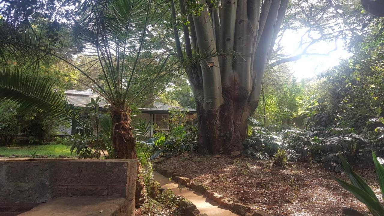The Cottage-Place Of Grace 2Bdrm And Loft Bed All 4U At Usd58 Nairobi Luaran gambar