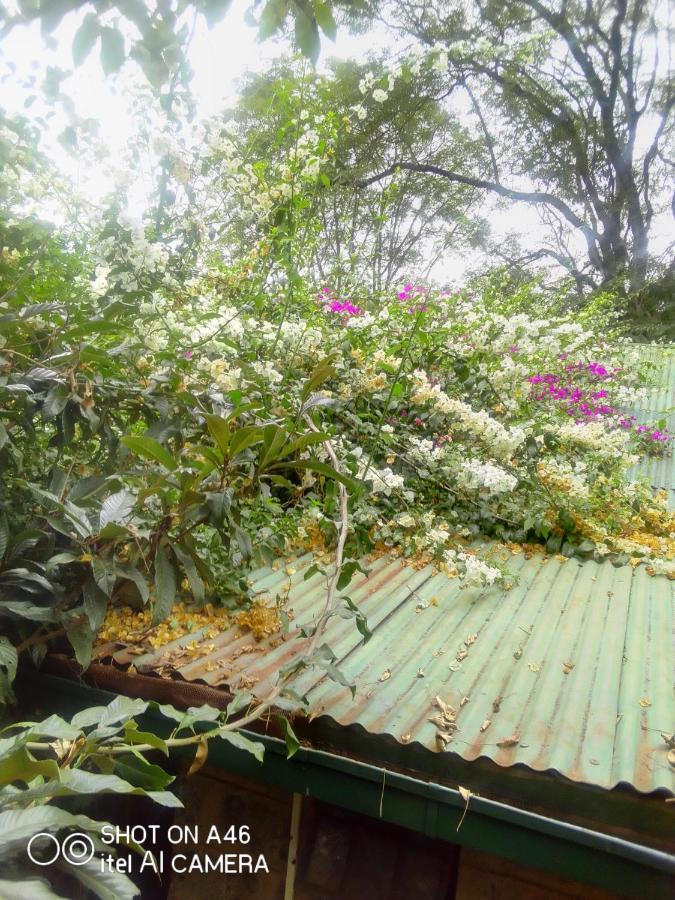 The Cottage-Place Of Grace 2Bdrm And Loft Bed All 4U At Usd58 Nairobi Luaran gambar